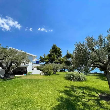 Dream Sea Front Summer