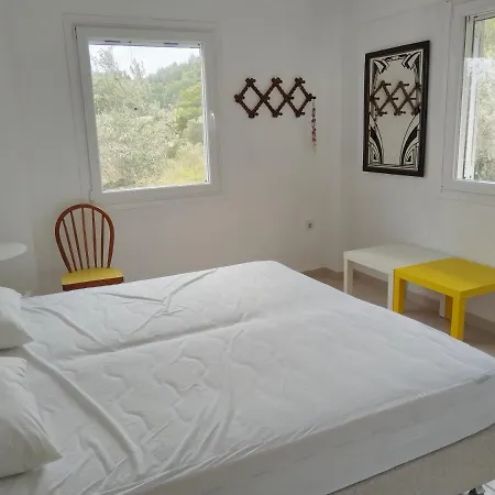 Dream Sea Front Summer