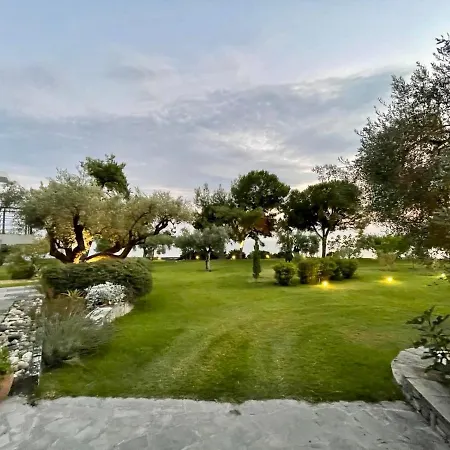 Dream Sea Front Summer *