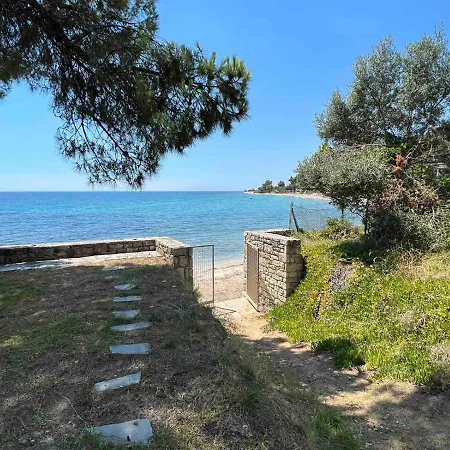 Dream Sea Front Summer