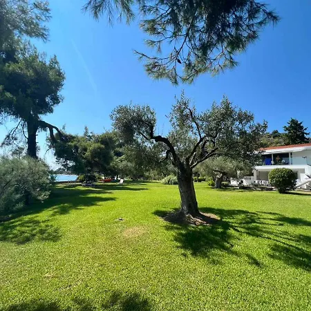 Villa Dream Sea Front Summer *