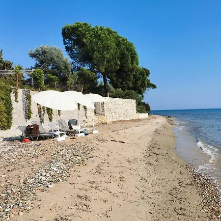 Dream Sea Front Summer *