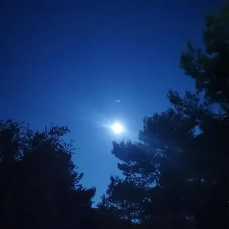 Dream Sea Front Summer * أغيا باراسكيفي