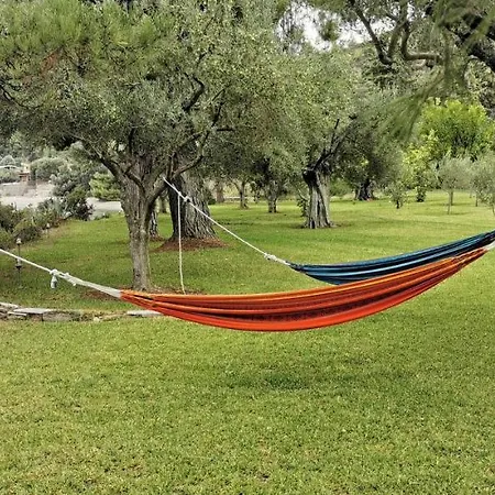 Dream Sea Front Summer * أغيا باراسكيفي