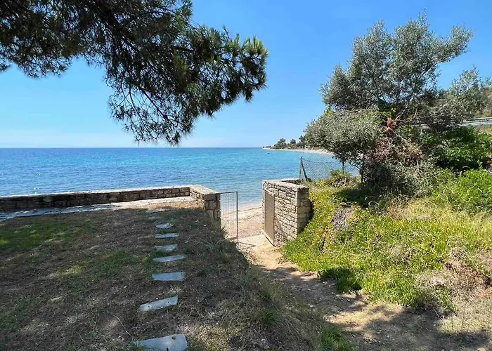 Dream Sea Front Summer