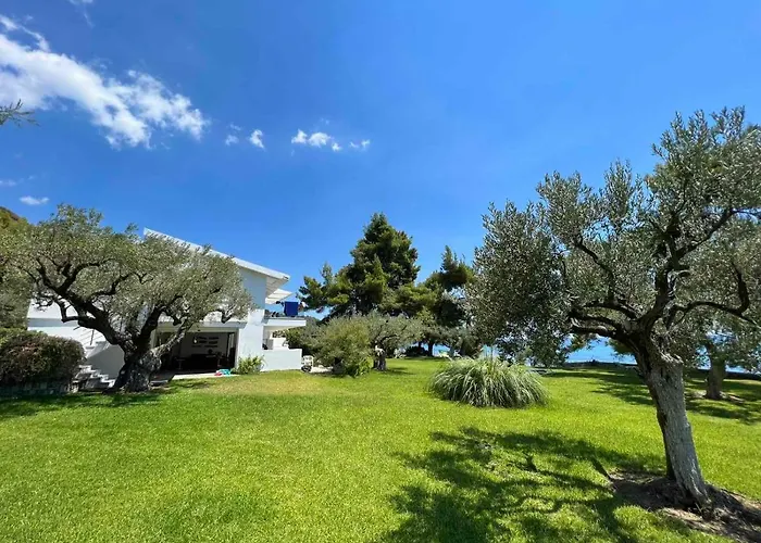 Dream Sea Front Summer