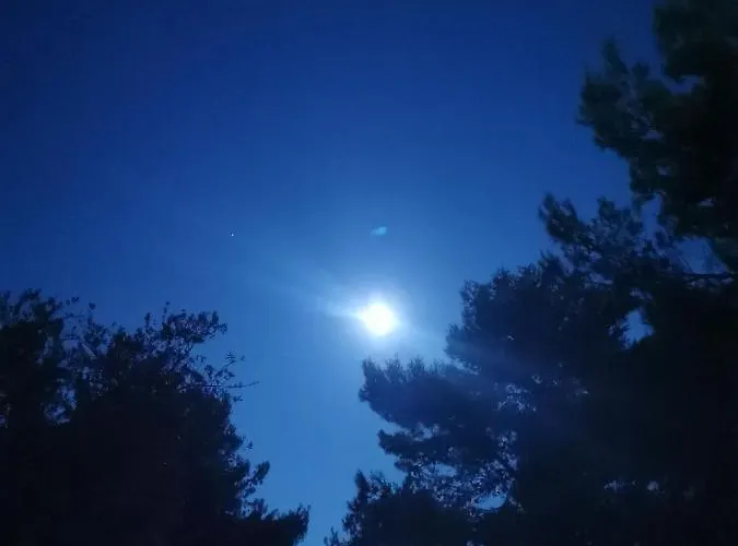 Dream Sea Front Summer * Agia Paraskevi (Kassandra)